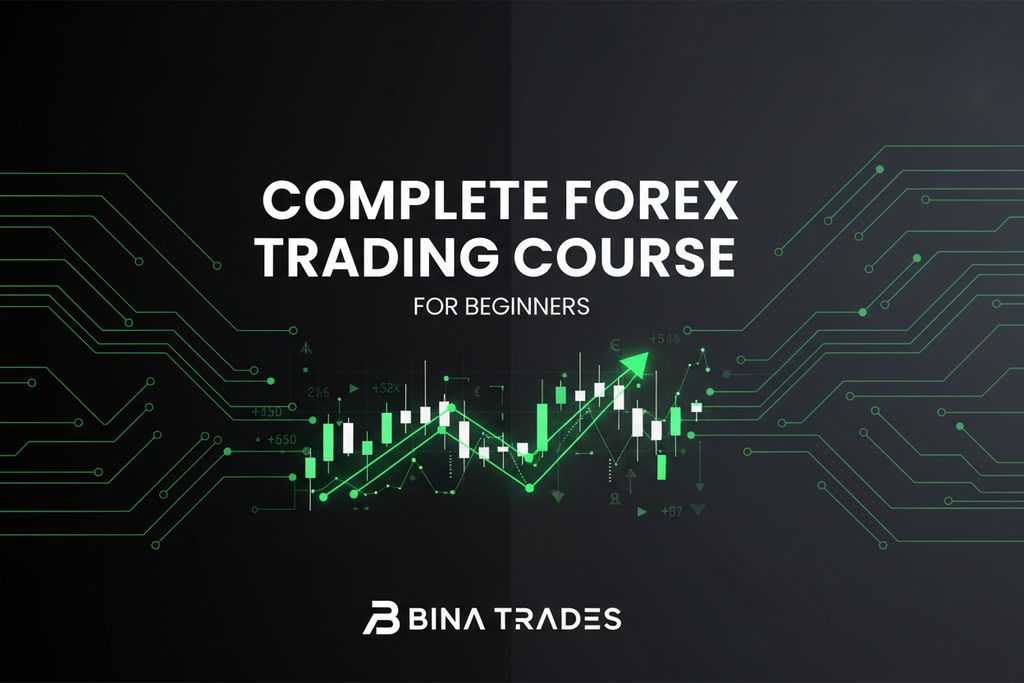 Complete Forex Trading Course For Beginners by Bina Trades