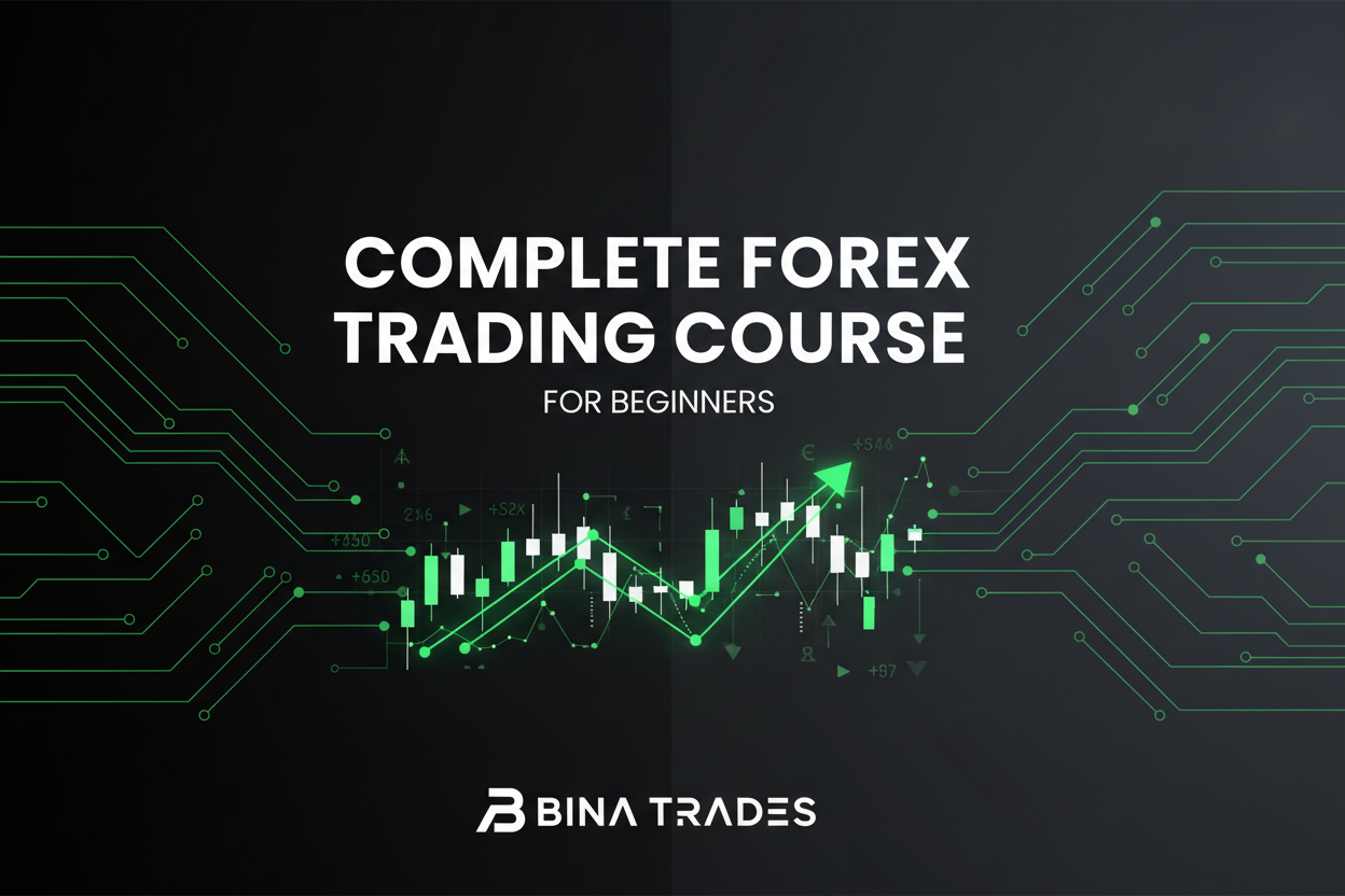Complete Forex Trading Course For Beginners by Bina Trades