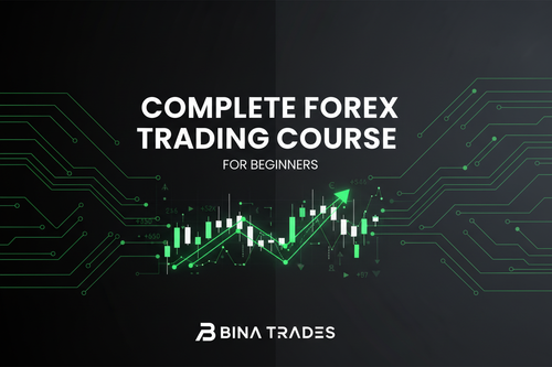 Complete Forex Trading Course For Beginners by Bina Trades